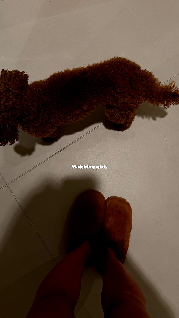 yaelshelbia instagram image archive image