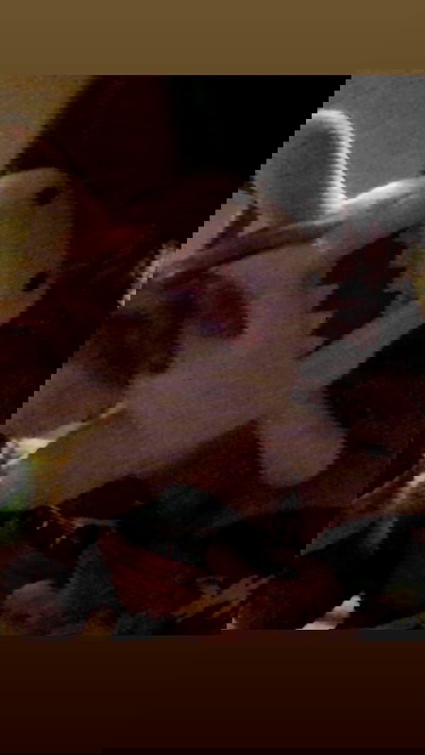 zommmbri image ~ Altpins