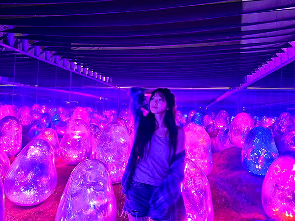 zuhazana instagram image archive image