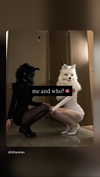 shunli__mei Altpins Profile Picture