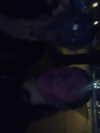 kimberr_0000 Altpins Profile Picture