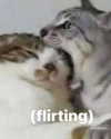 milkiwifey Altpins Profile Picture