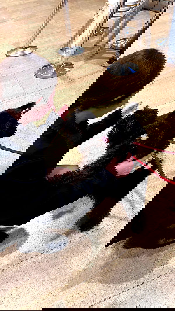 nicole.shpo nicole.shpo archive image