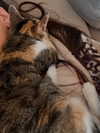 cata.leyah Altpins Profile Picture