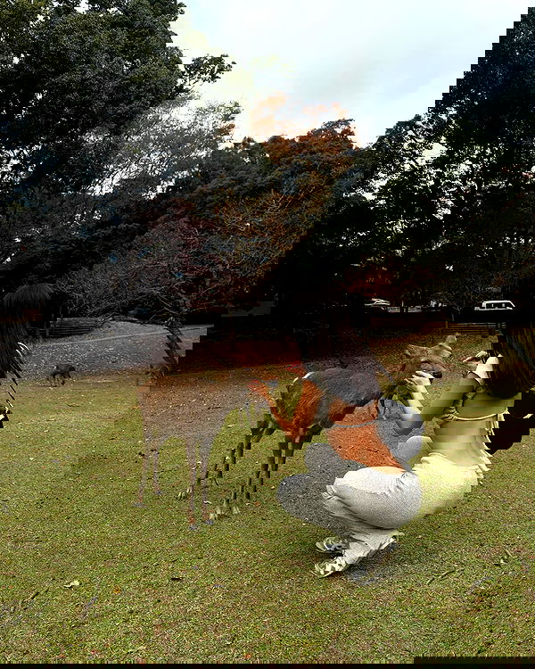 paigeinsco paigeinsco archive image