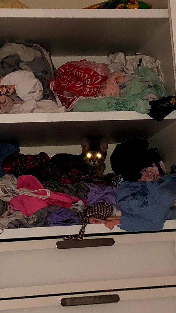 Archived image from @notchicore on Instagram