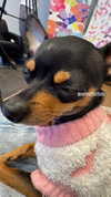 alexandramarianna Altpins Profile Picture
