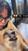 dante_yangpa Altpins Profile Picture