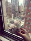 yuyuslivestreamdiary Altpins Profile Picture
