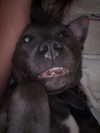 _m_a_y_c_ Altpins Profile Picture