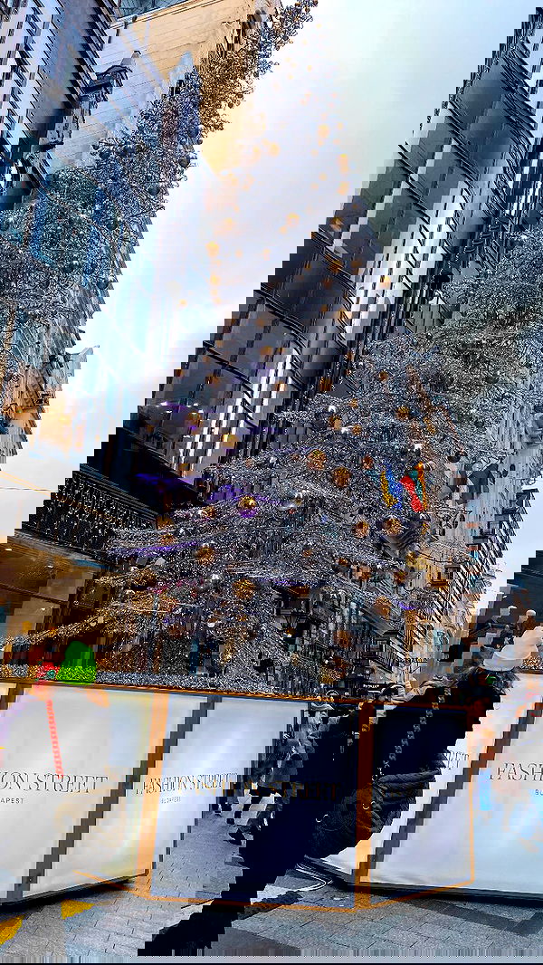 shanidahan7 image ~ Altpins