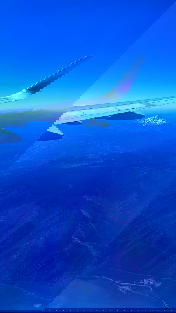 taylor.creeden taylor.creeden archive image