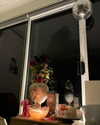 macaroni_naomi Altpins Profile Picture