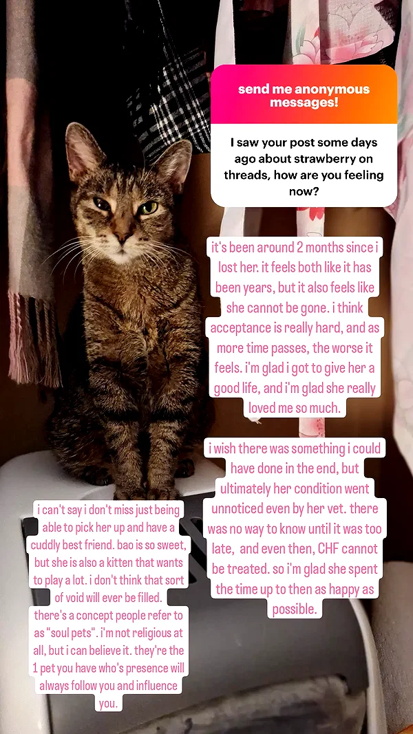 mirekyarahire instagram image archive image