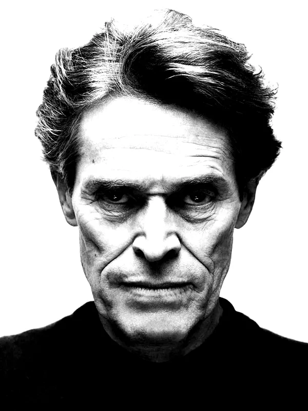 starttles starttles archive image