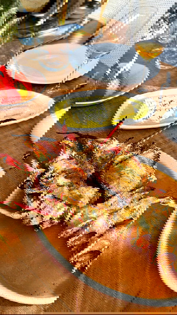 taylor.creeden taylor.creeden archive image