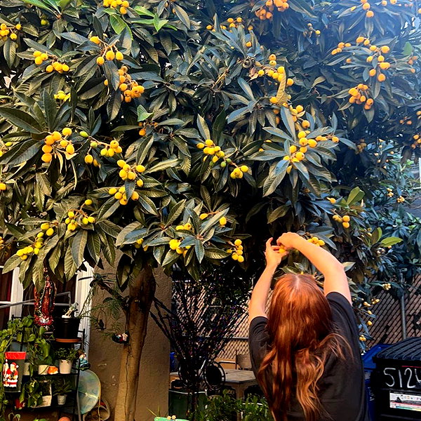 georgialeetwinn instagram image archive image