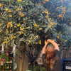 georgialeetwinn Altpins Profile Picture