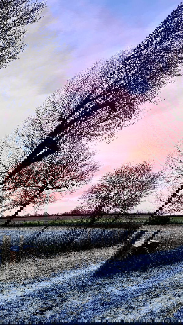 alexandramarianna alexandramarianna archive image