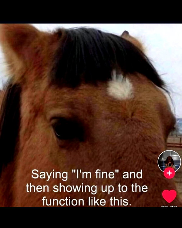 leanbeefpatty instagram image archive image