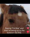 leanbeefpatty Altpins Profile Picture