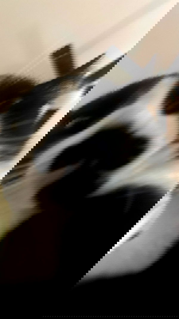 dracuina image ~ Altpins