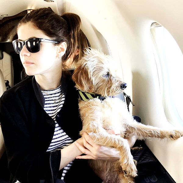 alexandradaddario instagram image archive image
