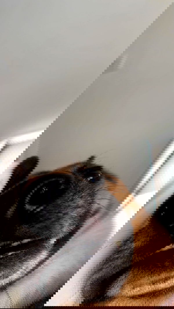 little.warren_ little.warren_ archive image