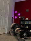 machine_mommy Altpins Profile Picture