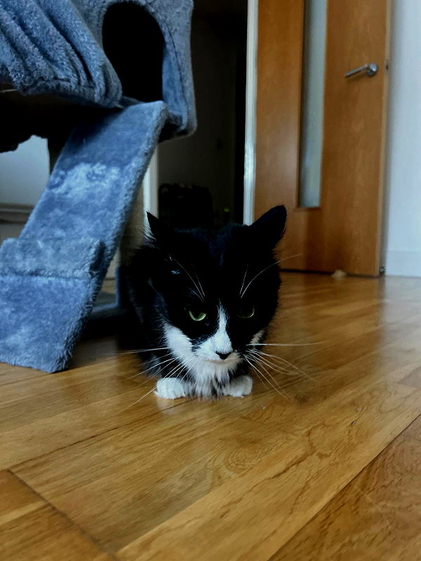 charley.chambers instagram image archive image