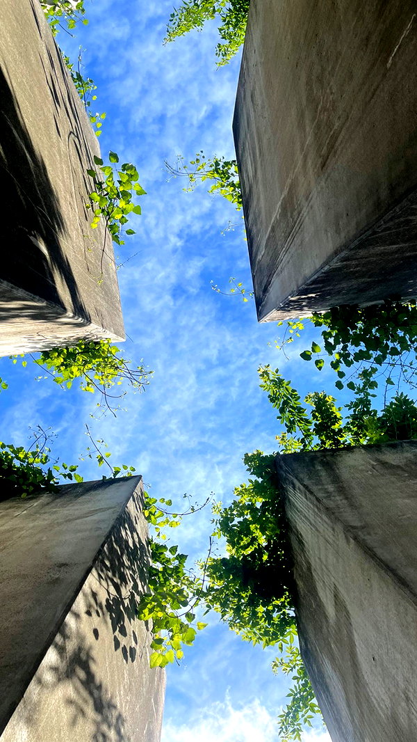 eva_romanovski instagram image archive image