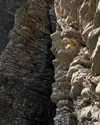 milena_milachich Altpins Profile Picture