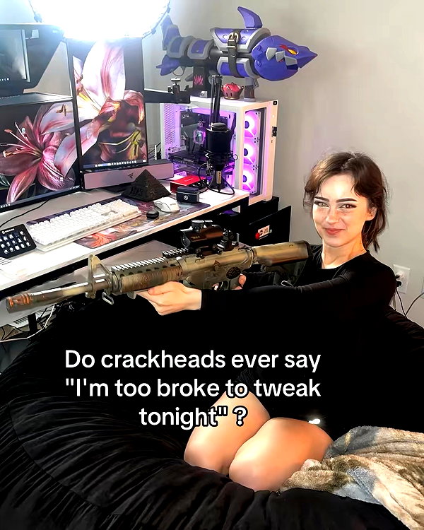 zylavale instagram image archive image