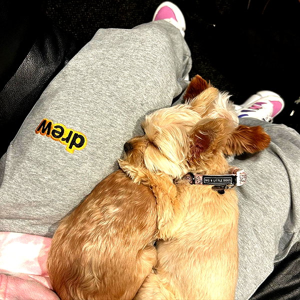 lilbieber instagram image archive image