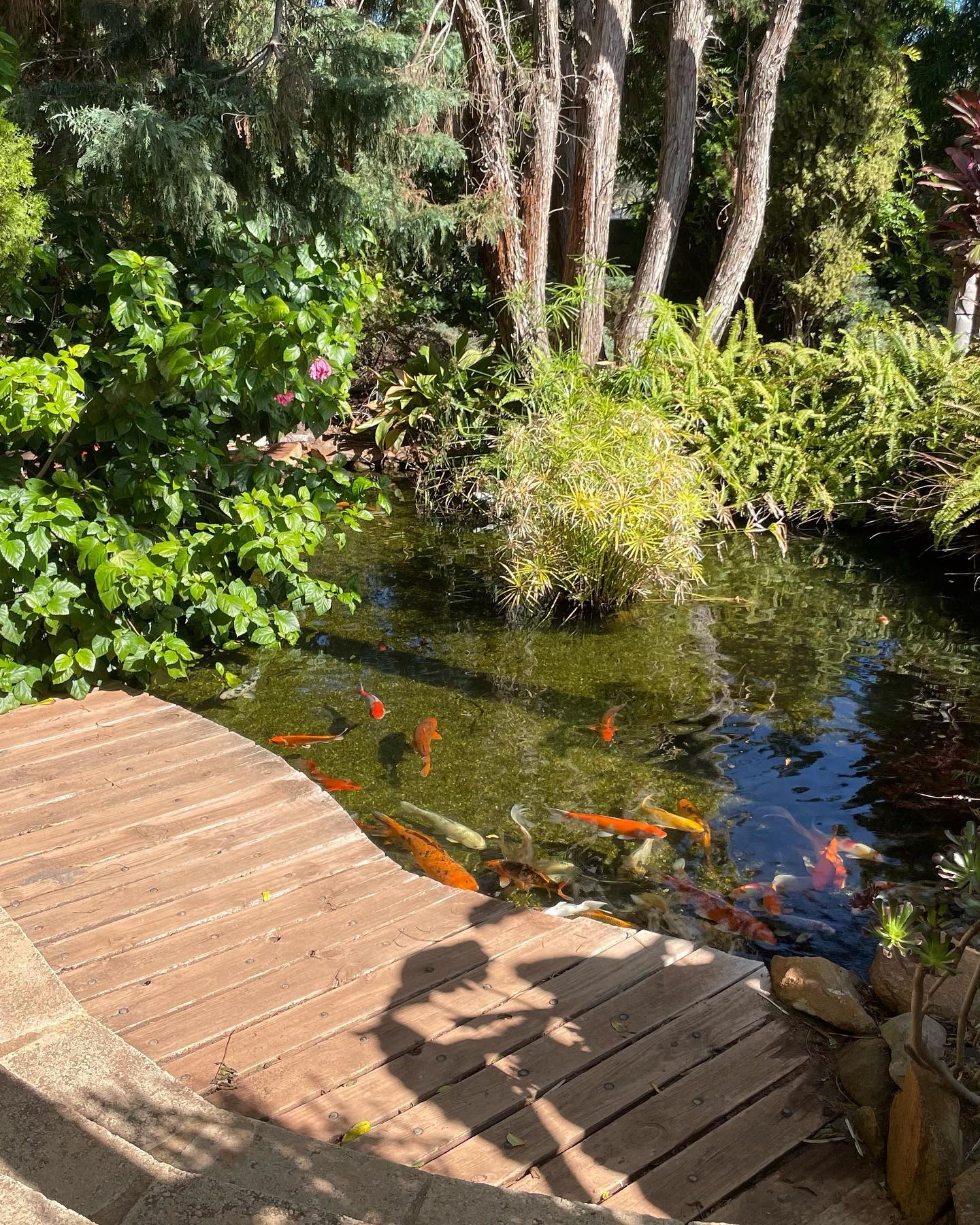 jtilb2 instagram image archive image