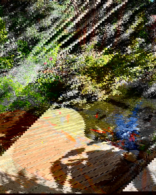 jtilb2 image ~ Altpins