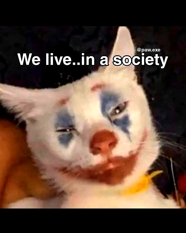 leanbeefpatty instagram image archive image
