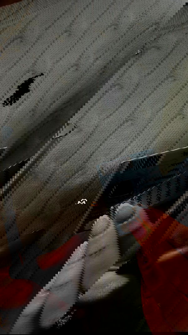 talia_davidov talia_davidov archive image