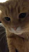 hoodifruit Altpins Profile Picture
