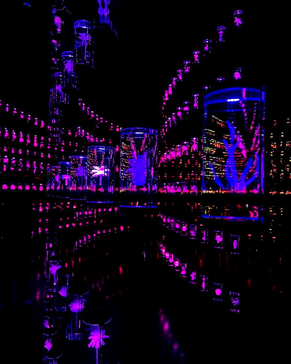 daryanedarya instagram image archive image