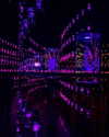 daryanedarya Altpins Profile Picture