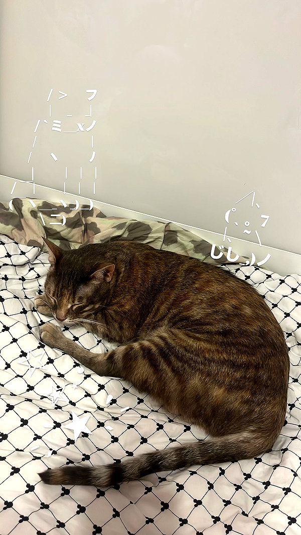 Archived image from @notchicore on Instagram