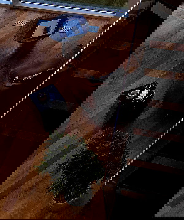 kkulakovaa image ~ Altpins