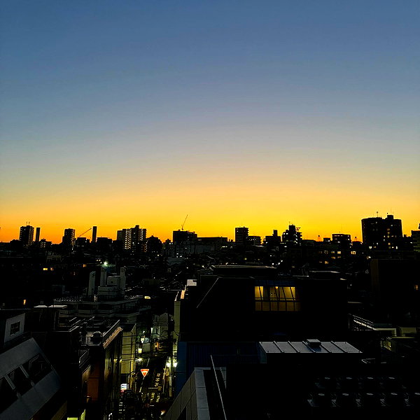 dualipa instagram image archive image