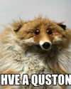 nishymoon_ Altpins Profile Picture