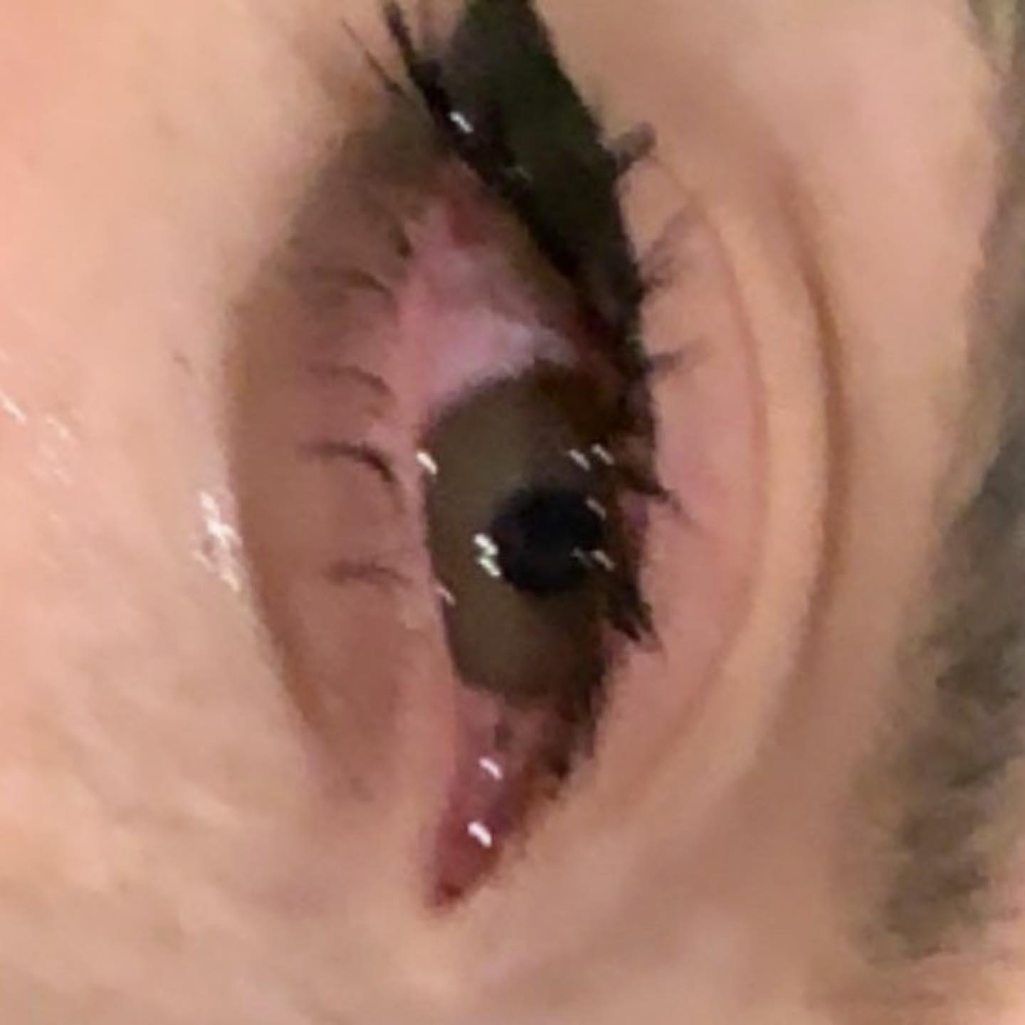 annfigmax instagram image archive image