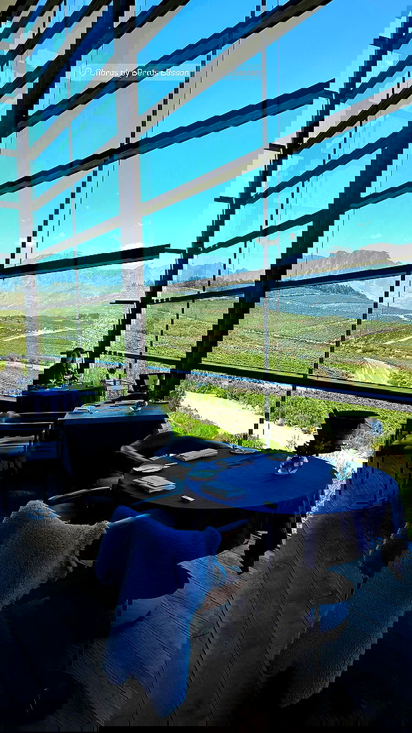 taylor.creeden taylor.creeden archive image