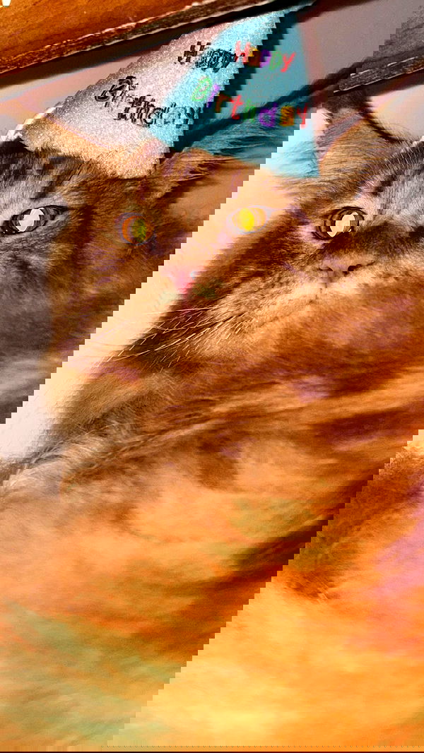 laluzone laluzone archive image