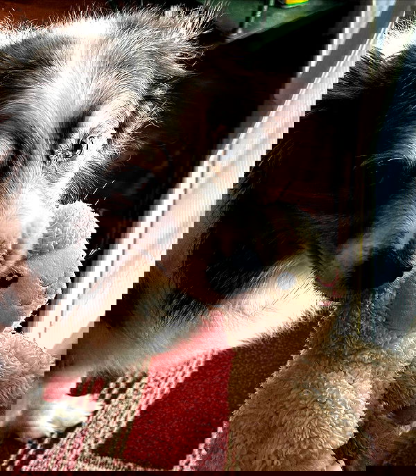 taylor.creeden taylor.creeden archive image