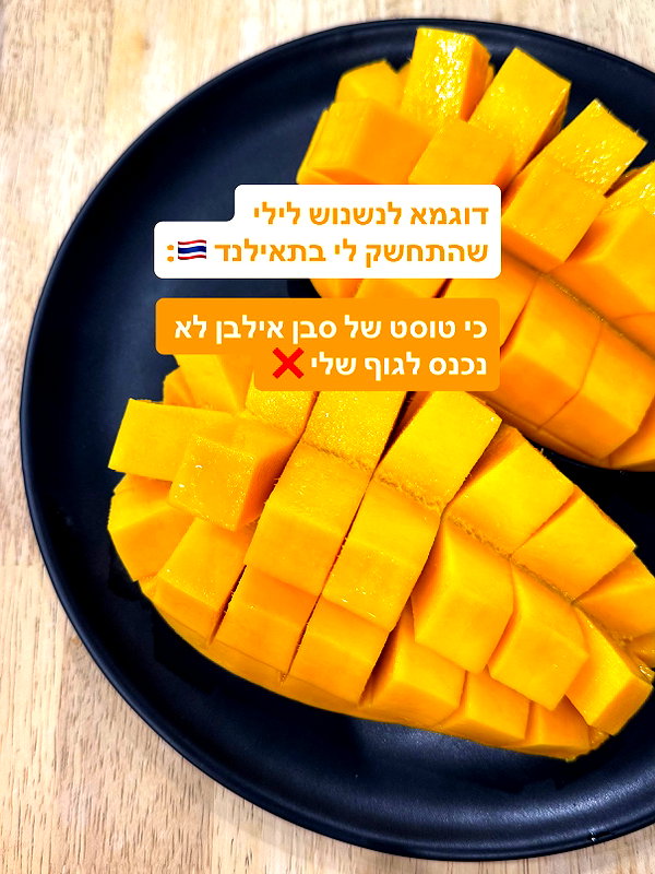 lital.oss instagram image archive image